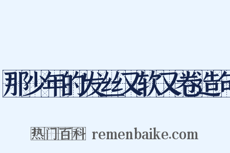 那少年的发丝又软又卷造句是什么意思的图片